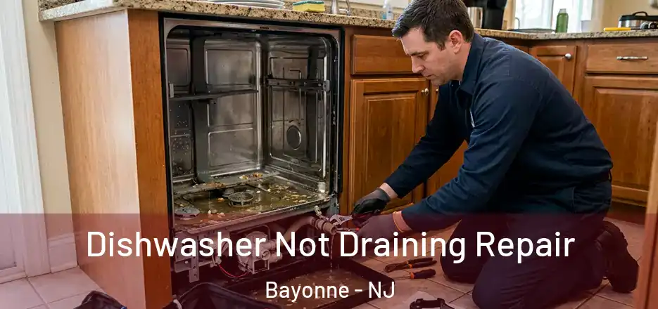 Dishwasher Not Draining Repair Bayonne - NJ