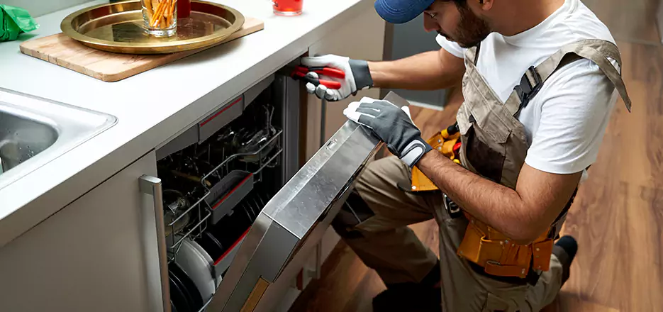 Same Day Dishwasher Not Draining Repair in Bayonne