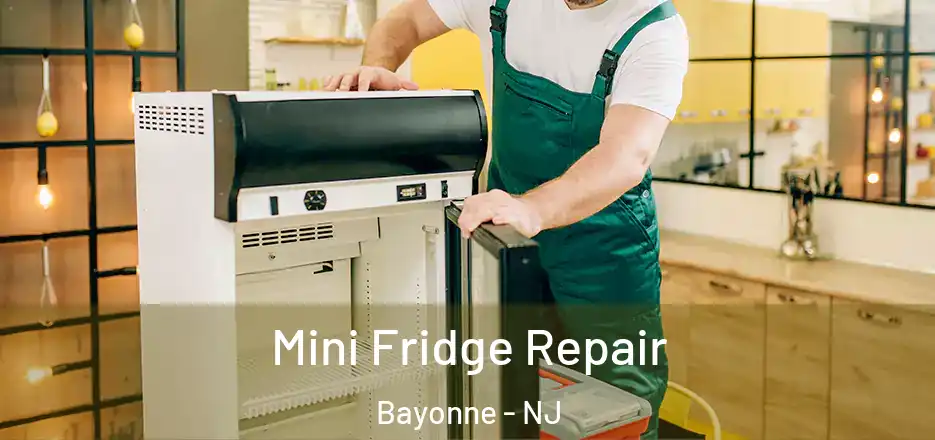 Mini Fridge Repair Bayonne - NJ