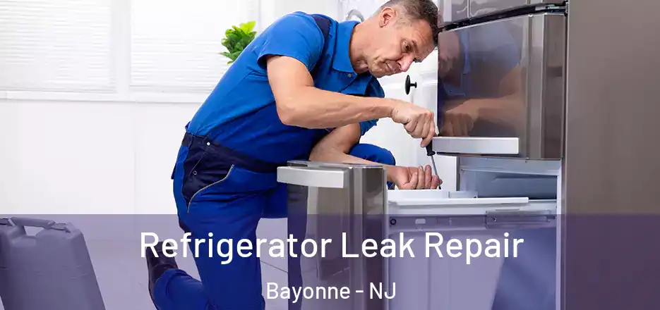  Refrigerator Leak Repair Bayonne - NJ